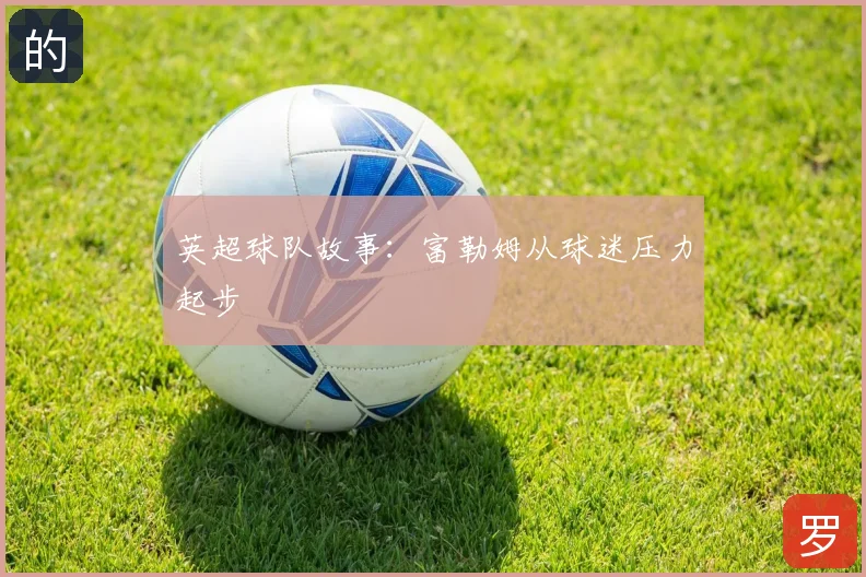 英超球队故事：富勒姆从球迷压力起步
